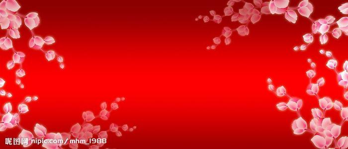 中国高等教育学历认证报告编号查询